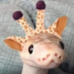 Meet your Posher, Sofia